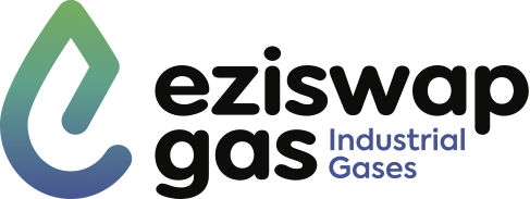 Eziswap logo